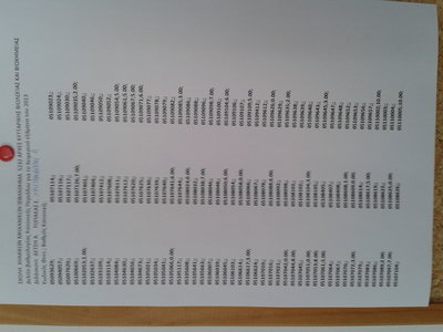 2013-02-28 11.38.26.jpg