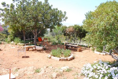 DSC_1625.jpg
