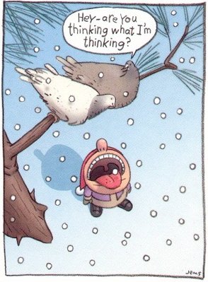 Clever birds!!!