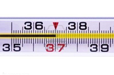 37thermometer.jpg
